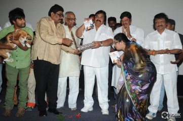 Tommy Movie Audio Launch